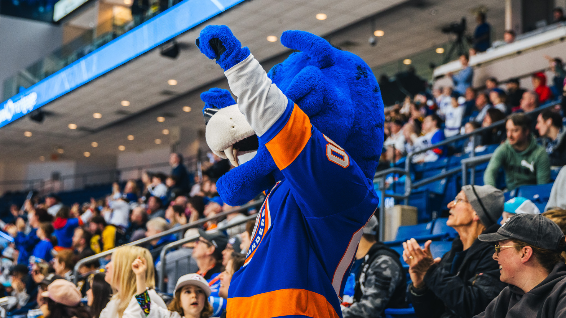 Islanders Fan & Gameday Experience